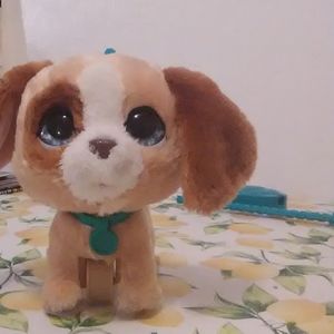 A walkable dog for kids ages 3 and up.